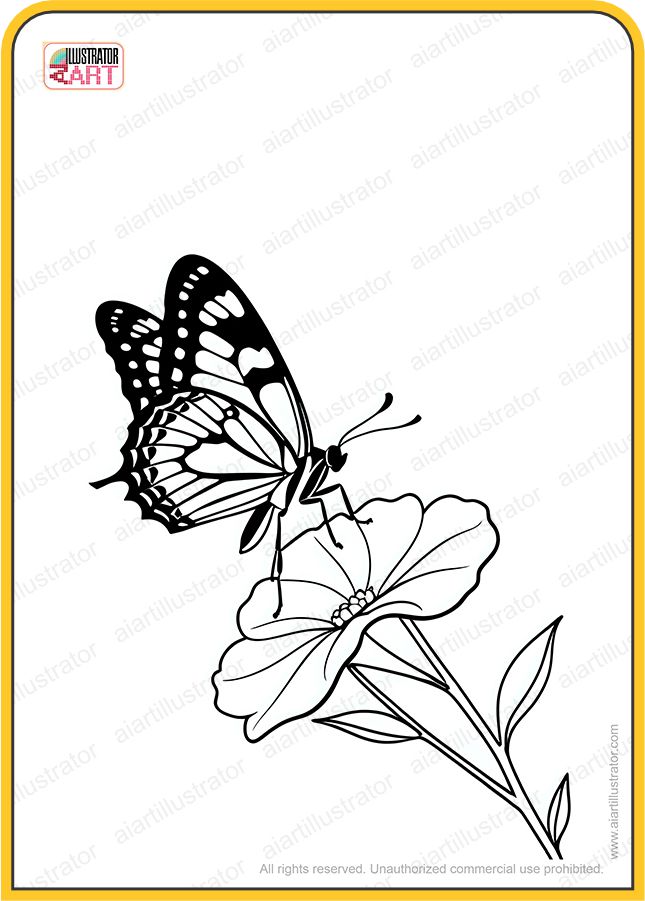 Category Icon
